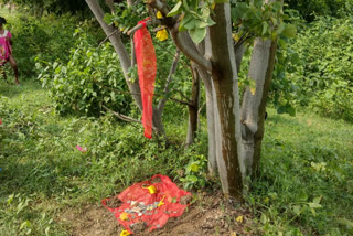 people Worshiping tree as god in Purulia