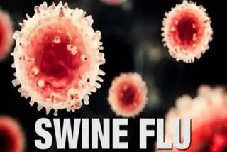 Four people hospitalized due to swine flu