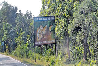 Amrabad tiger reserve