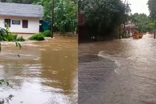 പാമ്പാടി മേഖലയിൽ വൻ മഴക്കെടുതി  കനത്ത മഴ  കോട്ടയത്ത് മഴക്കെടുതി രൂക്ഷം  മഴ വാര്‍ത്തകള്‍  മഴക്കെടുതി  rain updates in kerala  rain updates in kottayam  rain news in kerala  latest rain updates in kerala  latest rain updates in kottayam  കോട്ടയം ജില്ല  കോട്ടയം  വെള്ളാവൂർ