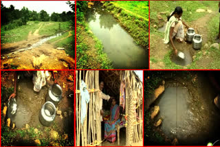 Godavari floods