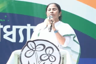 Mamata Banerjee says she did not get opportunity to rectify errors