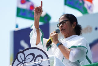 Mamata Banerjee slams ED CBI on West Bengal Coal Smuggling Scam