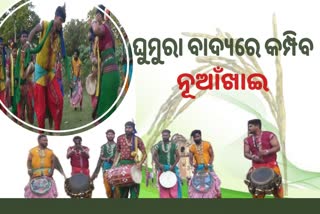 ଦିନକ ପରେ ନୂଆଁଖାଇ, ପାରମ୍ପରିକ ବାଦ୍ୟ ନୃତ୍ୟରେ ଦୁଲୁକିବ ପଶ୍ଚିମ ଓଡିଶା