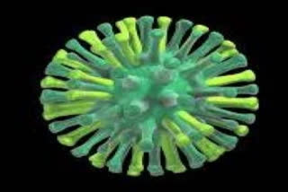 Maharashtra Swine Flu cases