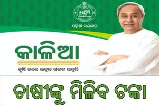 ଚାଷୀଙ୍କୁ ନୂଆଁଖାଇ ଭେଟି, ୪୧ ଲକ୍ଷ ହିତାଧିକାରୀଙ୍କୁ ମିଳିବ କାଳିଆ ଟଙ୍କା