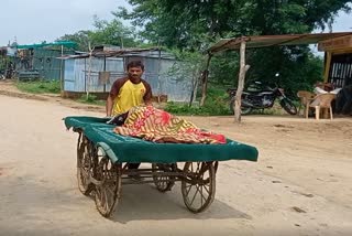 Damoh Woman On Handcart