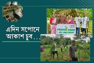 আকাশ স্পৰ্শ কৰাৰ দিশে 10 গৰাকী উদ্যমী অসমীয়াৰ সপোন