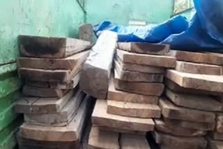 Pushpa Style Wood Smuggling in Bastar