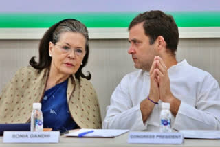 Preventing citizen from voicing opinion against law violates right to free speech: Sonia, Rahul tell HC