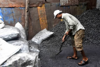 2400 hectare around coal fields to be greened in 2022-23