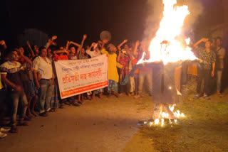 power minister effigy burned in jonia