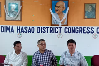 Dima hasao