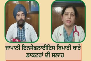 What do doctors say about Japanese encephalitis in Amritsar