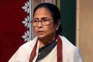 Mamata Banerjee has formed an inquiry committee  under the leadership of the Chief Secretary  Mamata Banerjee inquiry committee  Mamata Banerjee claims of his family members  increase in property trains  Mamata Banerjee latest news  Kolkata latest news  bjp and mamata banerjee  സർക്കാർ ഭൂമി കൈയേറിയ കേസ്‌  ചീഫ് സെക്രട്ടറിയുടെ നേതൃത്വത്തിൽ  അന്വേഷണ സമിതിക്ക് രൂപം നൽകി മമത  സ്വത്തുവകകളെ സംബന്ധിച്ച കേസിന്‍റെ വിചാരണ  ചീഫ് സെക്രട്ടറിയുടെ നേതൃത്വത്തിൽ അന്വേഷണ സമി  അന്വേഷണ സമിതിക്ക് രൂപം നൽകി  ബിജെപി പ്രതികാരം തീര്‍ക്കുകയാണ്  മമത ബാനർജി ഏറ്റവും പുതിയ വാര്‍ത്ത  കൊല്‍ക്കത്ത ഏറ്റവും പുതിയ വാര്‍ത്ത