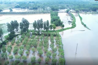 Dandiganahalli Lake full after 25 years