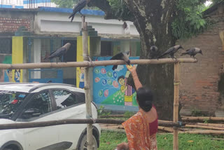 Malda Animal Lover