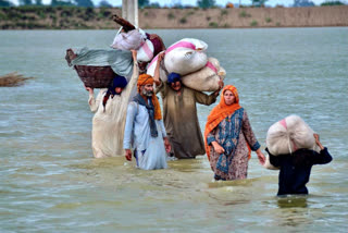 FLOOD WATER ENTERED PAKISTANS DADU DEATH TOLL REACHED 1191