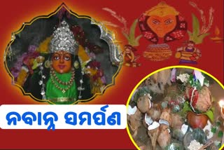 ନୂଆଁଖାଇ ତିହାର, ସୁରେଶ୍ୱରୀଙ୍କୁ ଲାଗି ହେଲା ନବାନ୍ନ