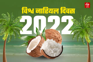 World Coconut Day  2022  Facts About Coconut use and Utility