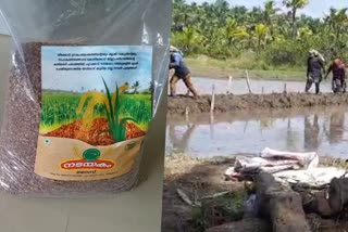 Rice  New Rice Brand  Nadayakam  Kozhikkode Latest News  Thikkodi Local news  Thikkodi Rice brand  Thikkodi Rice news  ഓണം  Onam  സ്വന്തം ബ്രാന്‍ഡ്  അരി  കോഴിക്കോട്  കോഴിക്കോട് വാര്‍ത്തകള്‍  കതിരണി പദ്ധതി  നടയകം  തിക്കോടി  നെല്ല്  പദ്ധതി  കാര്‍ഷിക മേഖല  കാര്‍ഷിക വാര്‍ത്തകള്‍  തവിട്