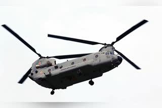 Chinooks