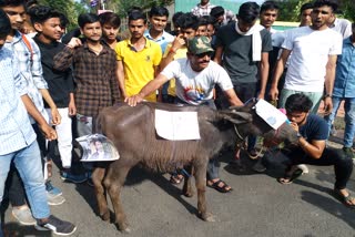 indore agriculture college land acquisition