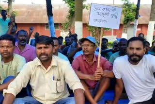 acms protest at kaliabor