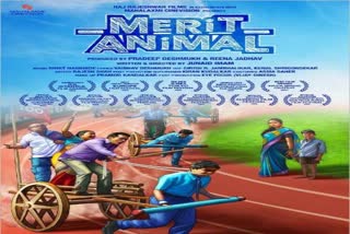 Merit Animal