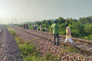 ഹരിയാനയിലെ തൊഹാന  ട്രെയിനിൽ നിന്ന് തള്ളിയിട്ട് കൊലപ്പെടുത്തി  Rape attempt on train  woman killed by being pushed from moving train  Rape attempt  ഫത്തേഹാബാദ്  Fatehabad  ഹരിയാന  പീഡനശ്രമം  crime news  crime news Haryana  Haryana