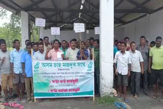 Assam Chah Mazdoor sangha protest in Bihali