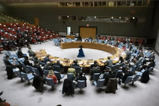 Security Council approves new head of UN mission in Libya