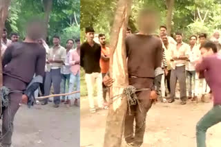 People mercilessly thrash a youth by tying him to a tree