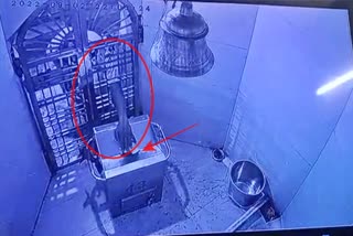 Theft in Mansa Devi temple of Panchkula