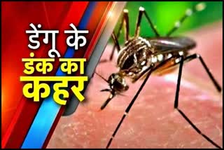 young woman dies due to dengue in Parwanoo