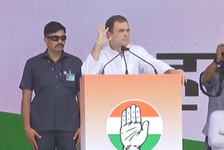 hatred-rising-in-india-since-bjp-govt-came-at-centre-rahul-gandhi-says-at-congress-mega-rally