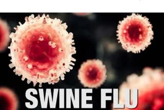 Cases of Swine Flu in Rajasthan
