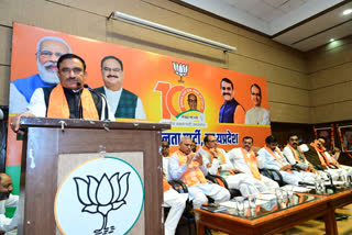 MP BJP Working Committee