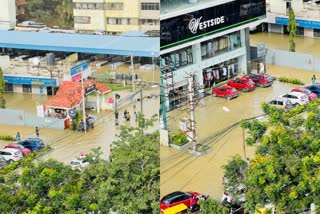 Many apartments are flooded