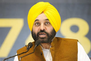 UGC pay scales for college, university teachers to be implemented in Punjab from Oct: CM Mann