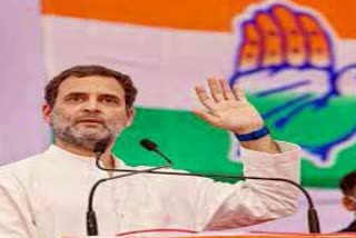 MP Rahul Gandhi Padyatra for 16 days