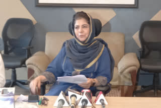 Central government should negotiate with Pakistan on the Kashmir issue: Mehbooba Mufti