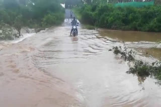 video:தலமலை பகுதியில் பலத்த மழை- தரைப்பாலத்தை மூழ்கடித்தபடி செல்லும் காட்டாற்று