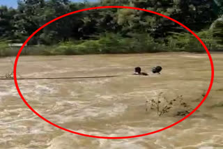 ಚಾಮರಾಜನಗರದಲ್ಲಿ ಭಾರಿ ಮಳೆ Chamaajnagar heavy rain