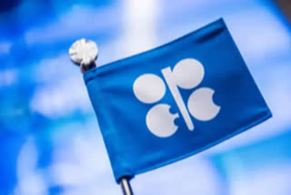 OPEC+ makes small trim to world oil supplies as prices fall