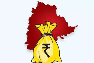 central govt on Telangana Loans