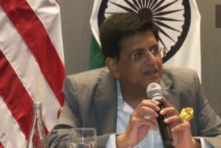 Piyush Goyal