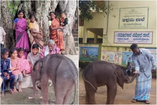 Baby Elephant enters school premises in Chamarajanagar  Baby Elephant enters school  സ്‌കൂൾ വളപ്പിലെത്തിയ ആനക്കുട്ടി  യലന്തൂരിൽ ആനക്കുട്ടി  ആനക്കുട്ടി വിദ്യാഥികളുമായി കളിക്കുന്ന അപൂർവ കാഴ്‌ച  Baby Elephant enters school ground video  national news  karnataka news  ദേശീയ വാർത്തകൾ  ആനക്കുട്ടി