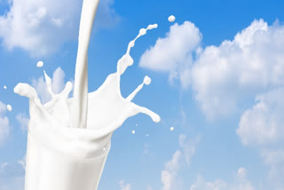 Vijaya diet milk