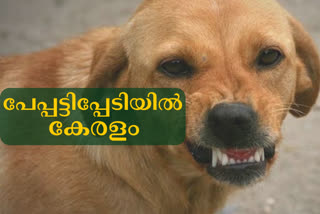 rabies vaccine kerala  rabies death  quality of rabies vaccine in kerala  റാബിസ് വാക്‌സിൻ  റാബിസ് വാക്‌സിൻ ഗുണനിലവാരം  പേവിഷബാധയേറ്റ് മരണം  റാബിസ് വാക്‌സിന്‍റെ ഗുണനിലവാരം  സെന്‍ട്രല്‍ ഡ്രഗ് ലബോറട്ടറി  ഇന്‍സ്റ്റിറ്റ്യൂട്ട് ഓഫ് വൈറോളജി  തെരുവുനായ കടിയേറ്റു  പേവിഷ മരണത്തില്‍ വിറങ്ങലിച്ച് കേരളം